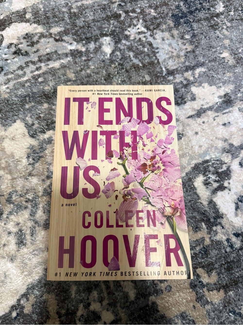 It Ends With Us Novel